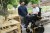 Forest 3 - Talking with friend 2.jpg