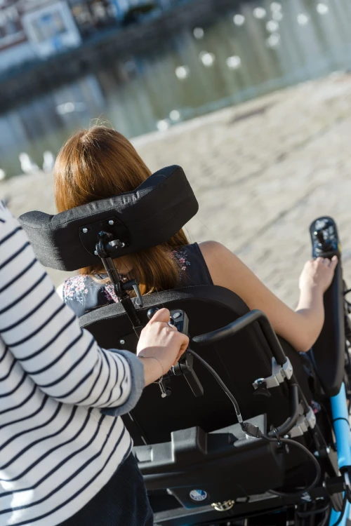 Forest 3 C79 - With lady at Waterside - rear view with extra controller.jpg